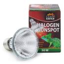 Terra Exotica Halogen Sunspot - Halogen Spotstrahler - 50 Watt